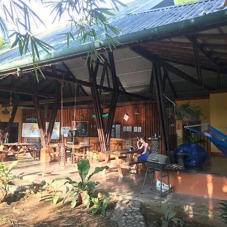 Luminosa Uvita Hostel מראה חיצוני תמונה