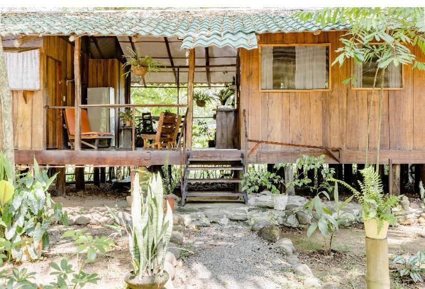 Luminosa Uvita Hostel מראה חיצוני תמונה