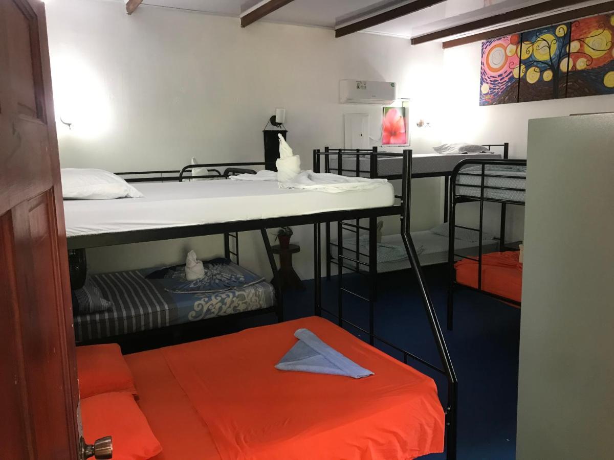 Luminosa Uvita Hostel מראה חיצוני תמונה