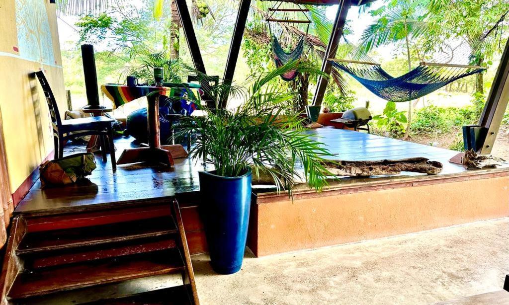 Luminosa Uvita Hostel מראה חיצוני תמונה