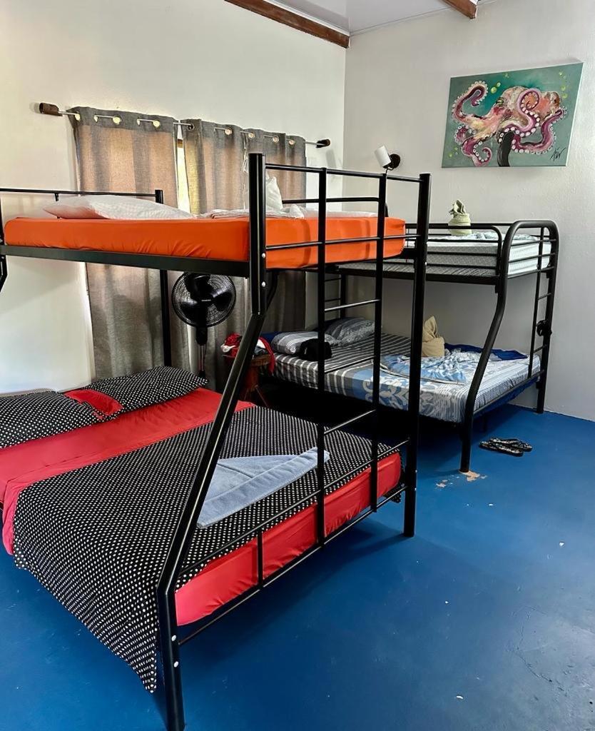 Luminosa Uvita Hostel מראה חיצוני תמונה
